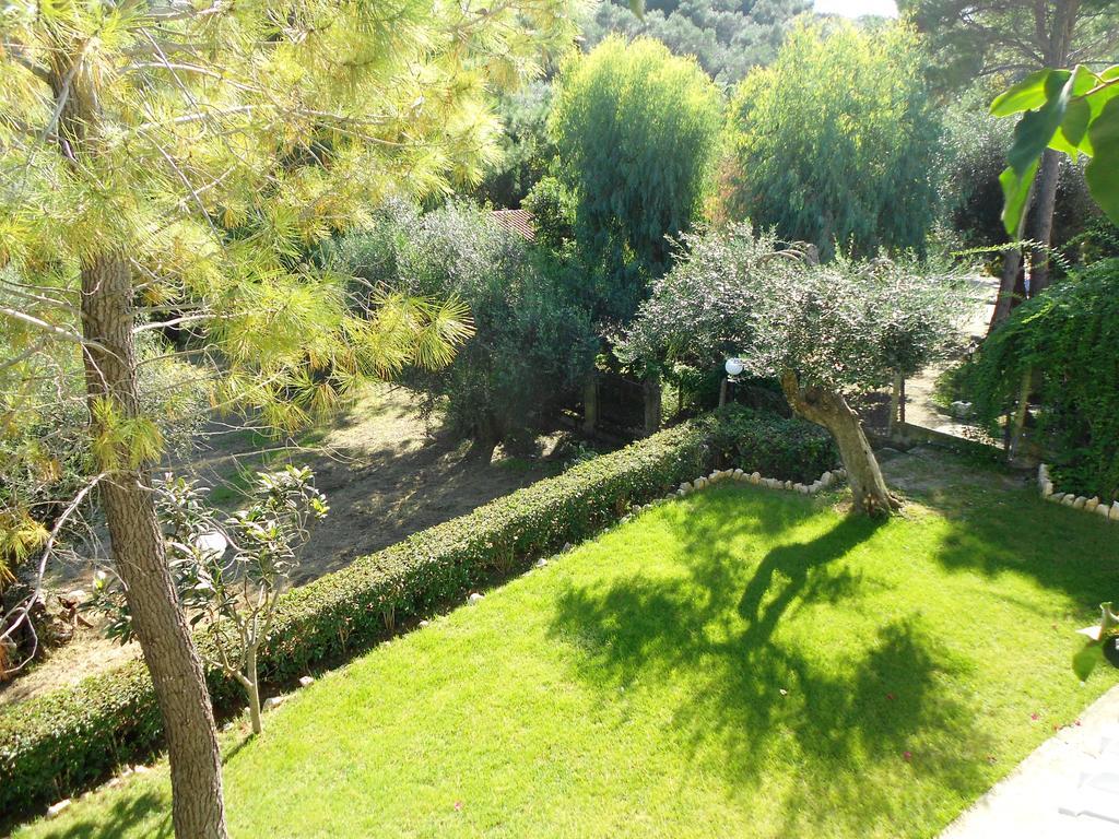 פאלאוקסטריצה Anemona Studios מראה חיצוני תמונה